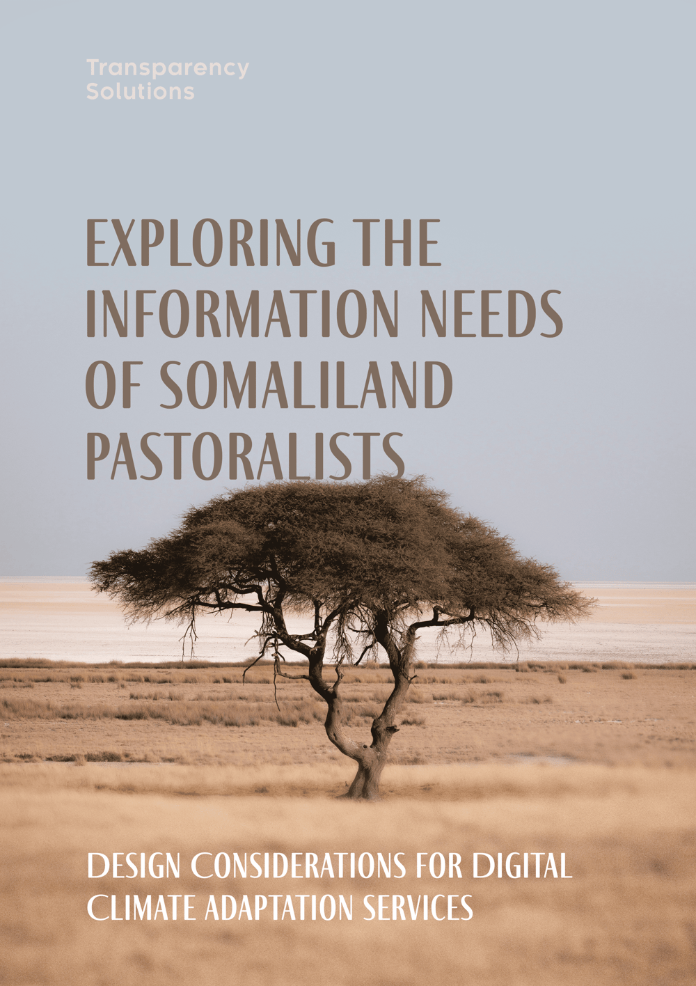 Cover art for the publication Exploring the Information Needs of Somaliland Pastoralists: Design Considerations for Digital Climate Adaptation Services