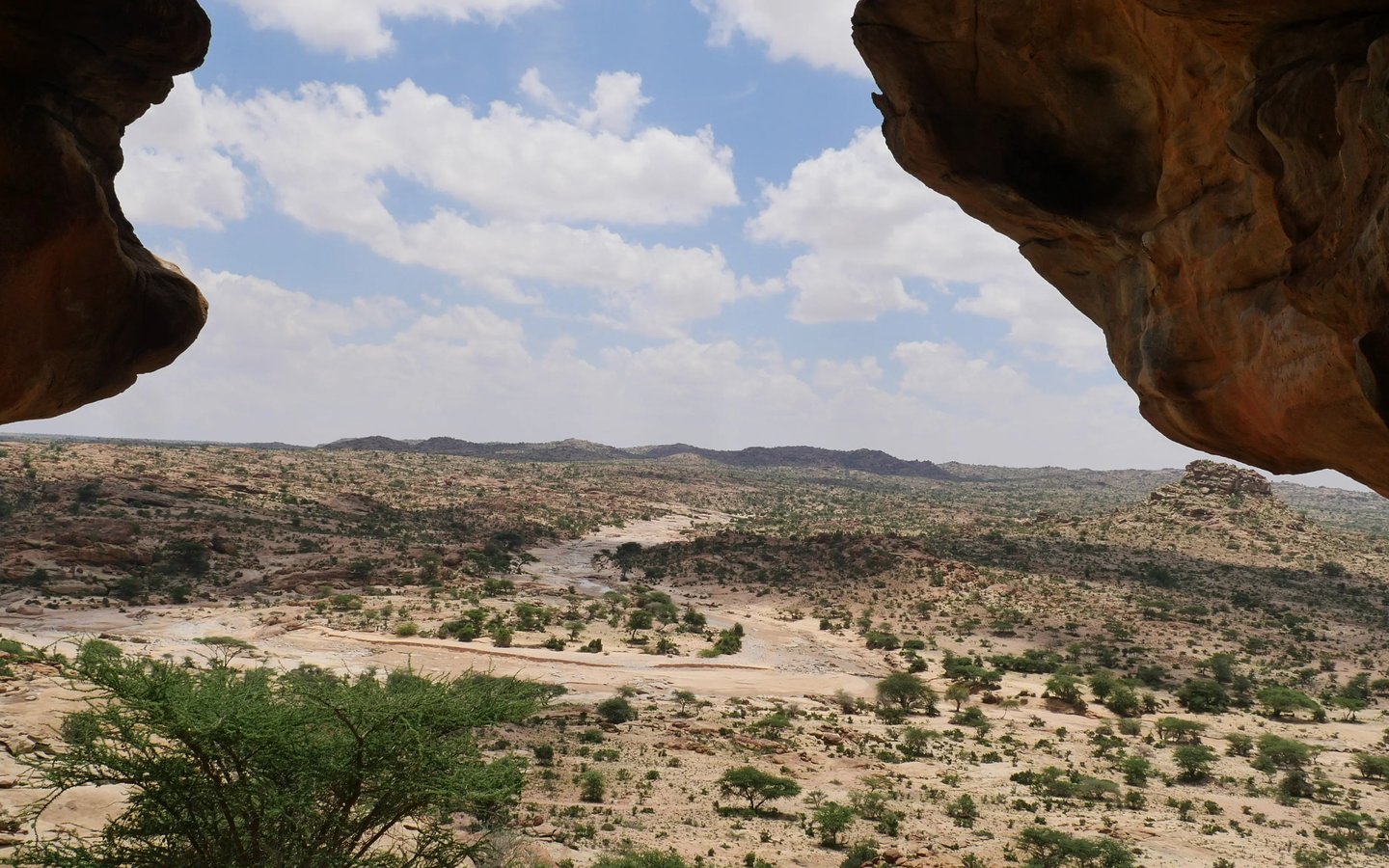 Photo of the Laas Geel rock art