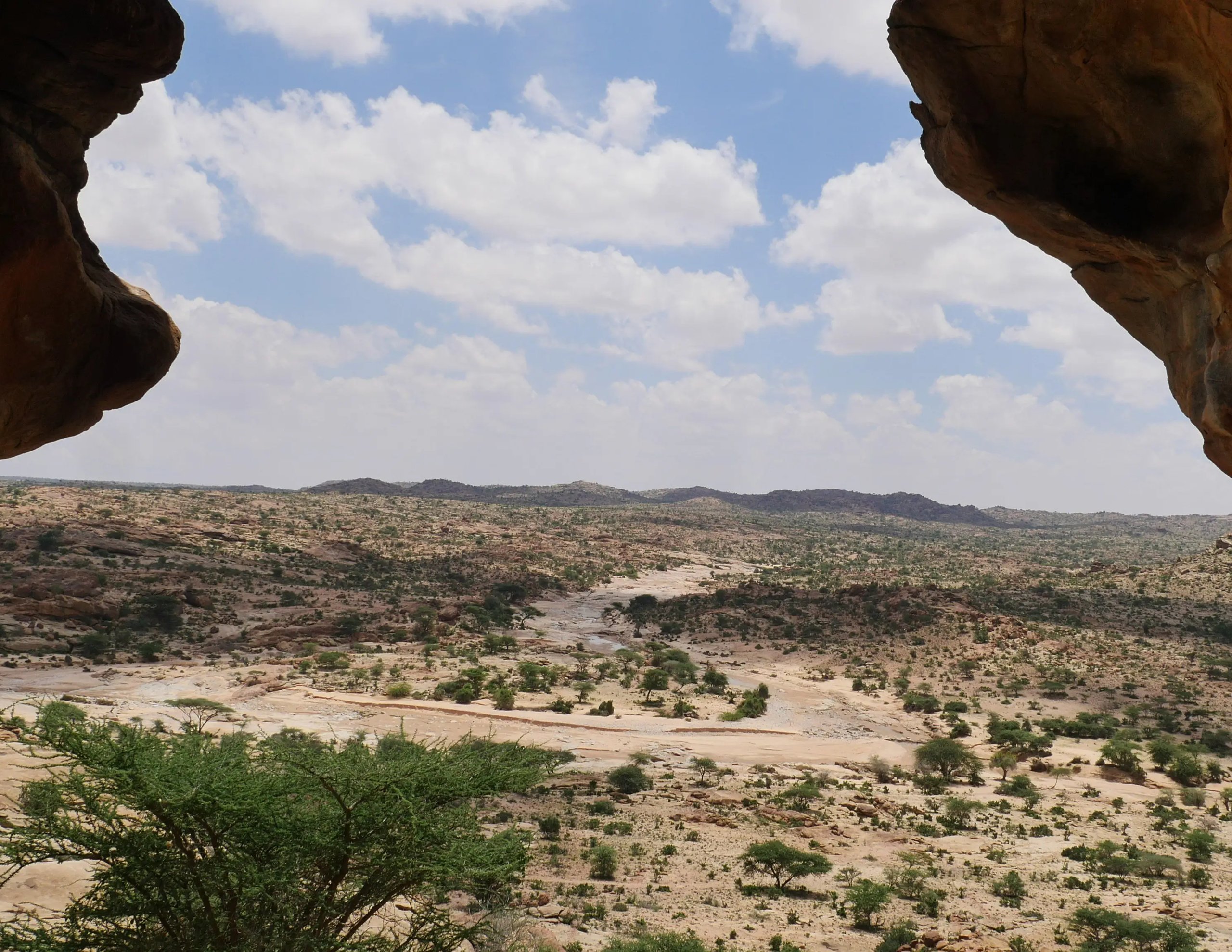 Photo of the Laas Geel rock art